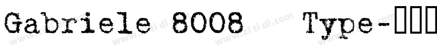 Gabriele 8008   Type字体转换